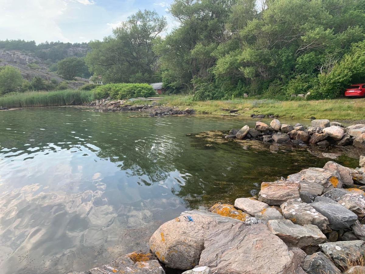 Naturnaera Gard I Tyfta Dış mekan fotoğraf